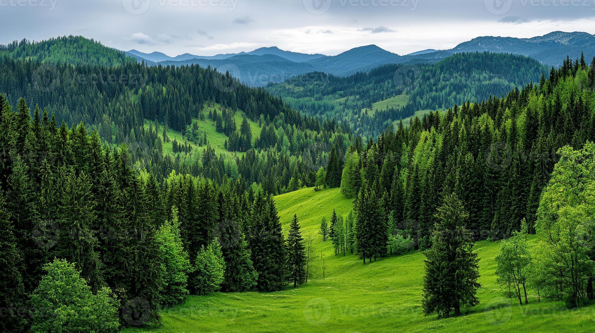 Slovenia landscape